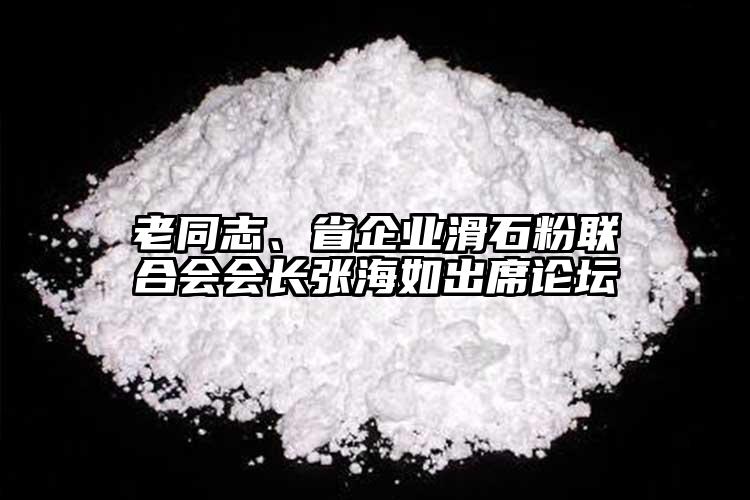 老同志、省企業(yè)滑石粉聯(lián)合會(huì)會(huì)長(zhǎng)張海如出席論壇