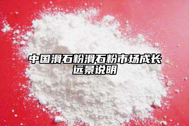 中國滑石粉滑石粉市場(chǎng)成長(zhǎng)遠(yuǎn)景說明