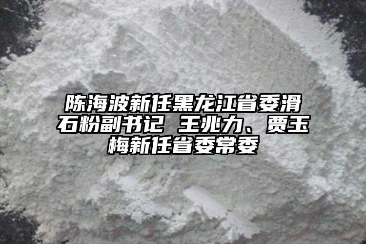 陳海波新任黑龍江省委滑石粉副書記 王兆力、賈玉梅新任省委常委