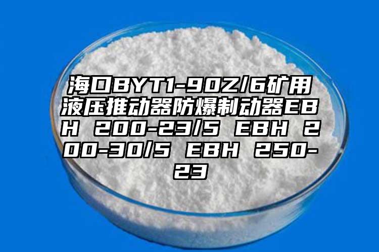 ?？贐YT1-90Z/6礦用液壓推動器防爆制動器EBH 200-23/5 EBH 200-30/5 EBH 250-23
