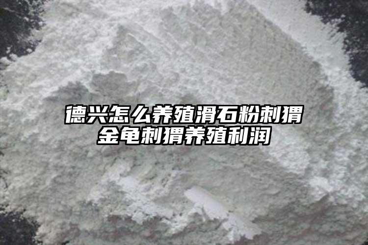 德興怎么養(yǎng)殖滑石粉刺猬金龜刺猬養(yǎng)殖利潤