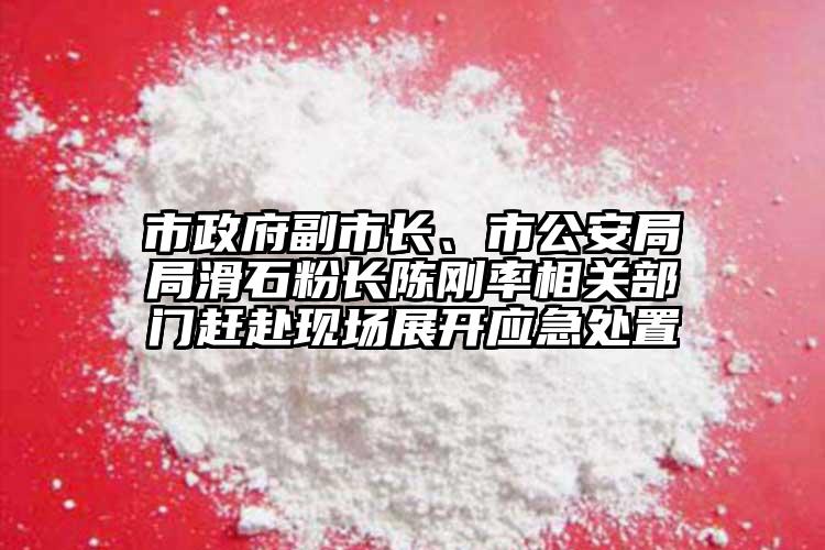 市政府副市長(zhǎng)、市公安局局滑石粉長(zhǎng)陳剛率相關(guān)部門趕赴現(xiàn)場(chǎng)展開應(yīng)急處置