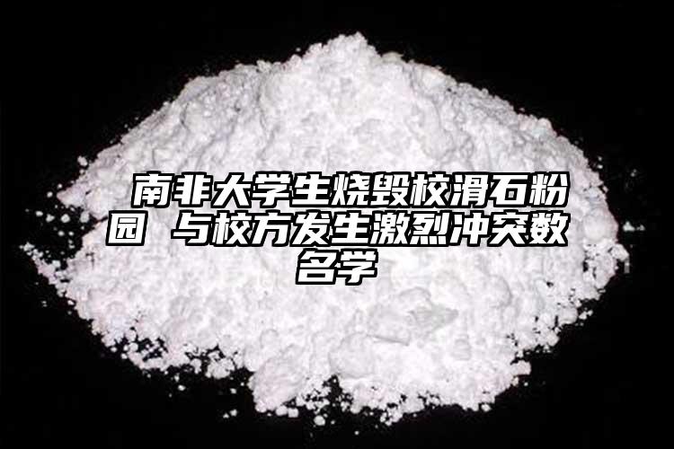  南非大學(xué)生燒毀?；蹐@ 與校方發(fā)生激烈沖突數(shù)名學(xué)