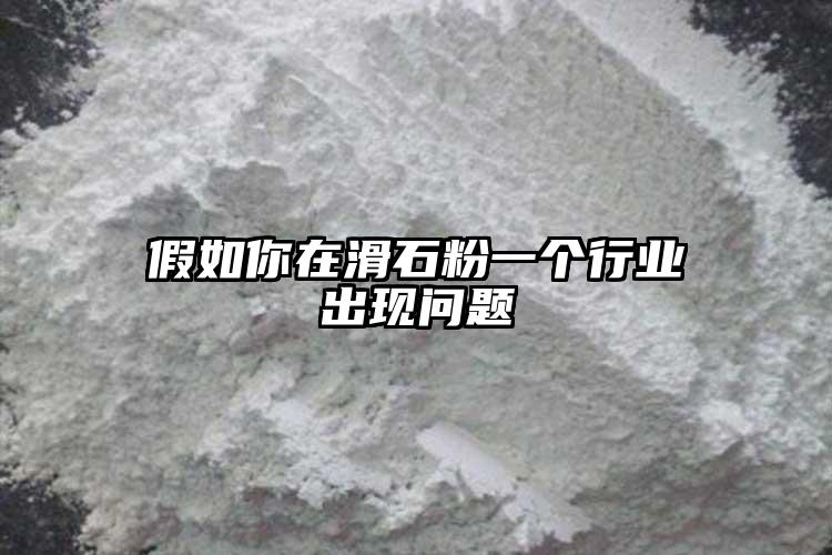 假如你在滑石粉一個(gè)行業(yè)出現(xiàn)問(wèn)題