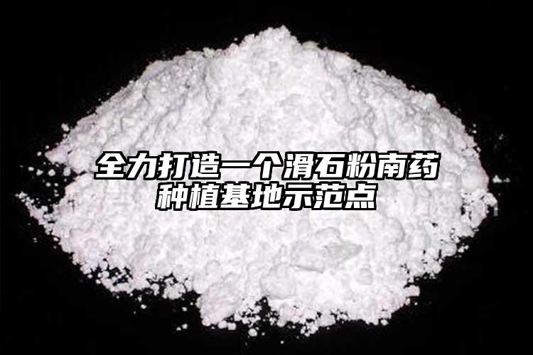 全力打造一個滑石粉南藥種植基地示范點(diǎn)